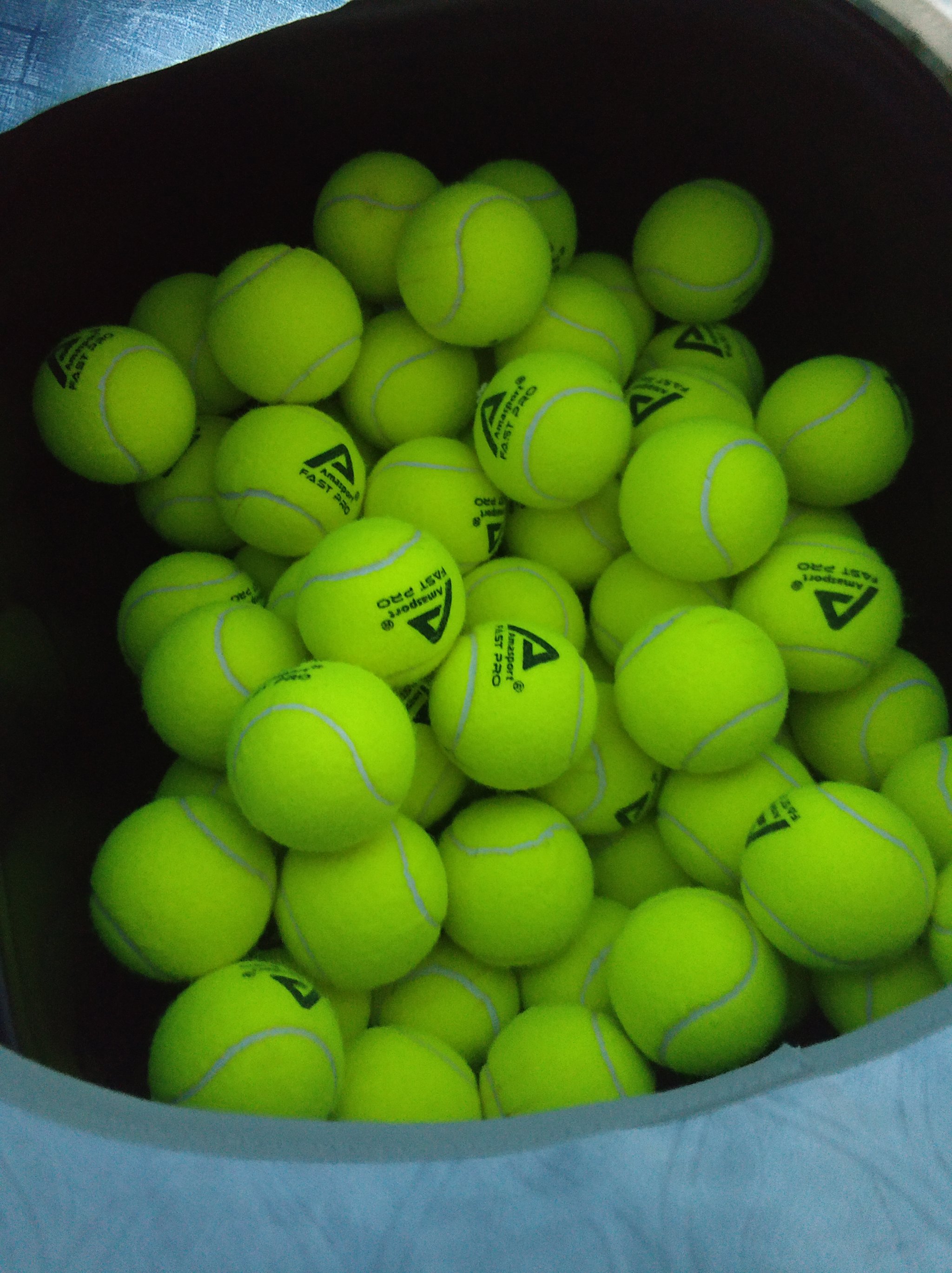 念开始开花 念开始开花